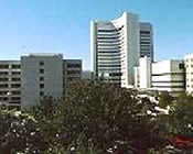 ベイラー大学