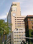 ニューヨーク大学